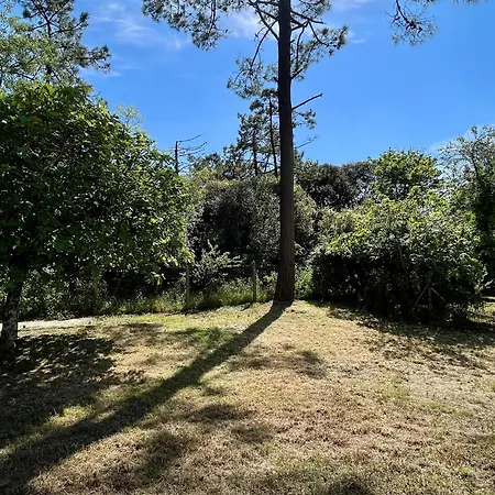 Maison En Lisiere De Foret Avec Grand Jardin, Proche Plage Et Iles Vendeennes, Pour Sejour Tout Confort - Fr-1-426-555 Casa de Férias *